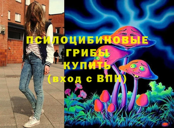 МДПВ Протвино
