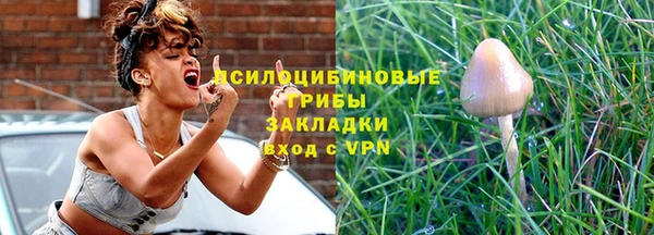 МДПВ Протвино