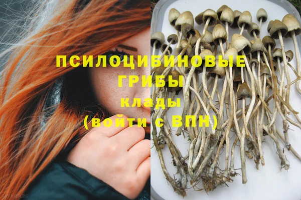 ешки Приозерск
