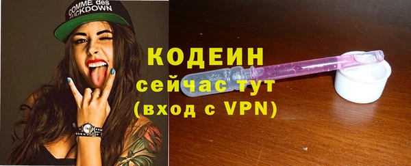 МДПВ Протвино
