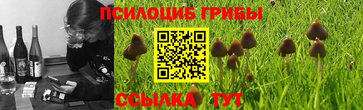 Псилоцибиновые грибы прущие грибы Алейск