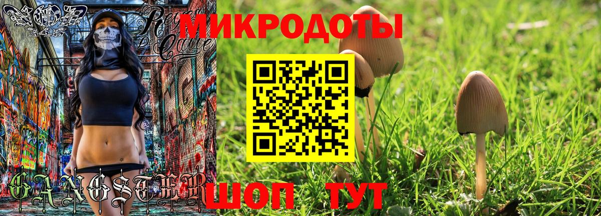 цена наркотик  Галлюциногенные грибы MAGIC MUSHROOMS  Алейск  Вход с VPN  Галлюциногенные грибы мухоморы 